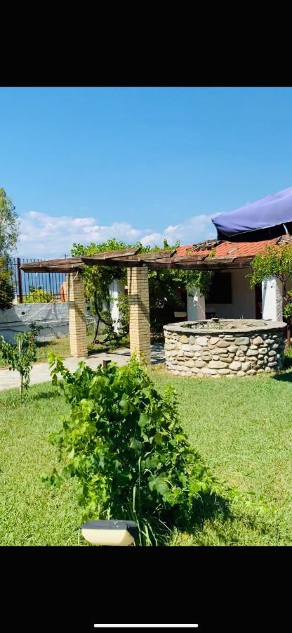 Village Dimopoulos Rodhodháfni Exteriör bild