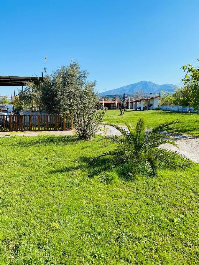 Village Dimopoulos Rodhodháfni Exteriör bild